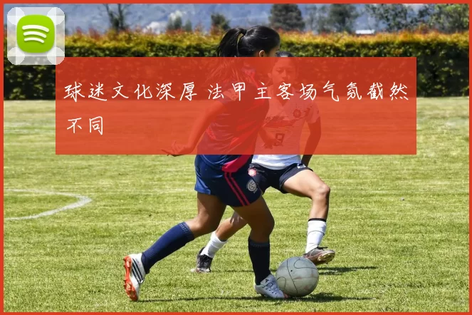 球迷文化深厚 法甲主客场气氛截然不同