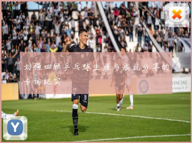 刘强回顾乒乓球生涯与成就分享的专访纪实