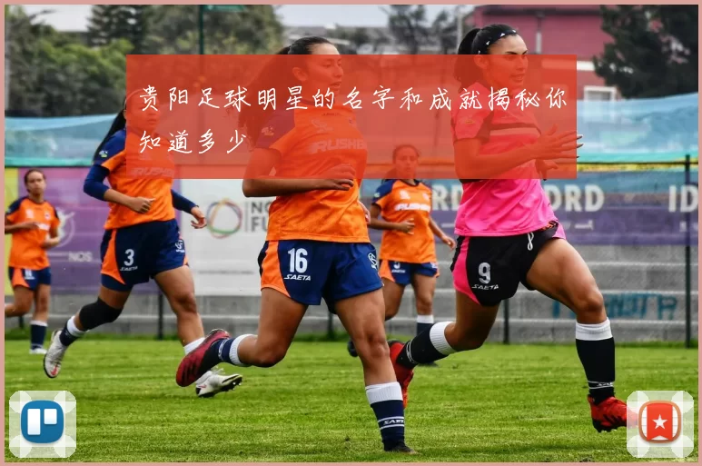 贵阳足球明星的名字和成就揭秘你知道多少