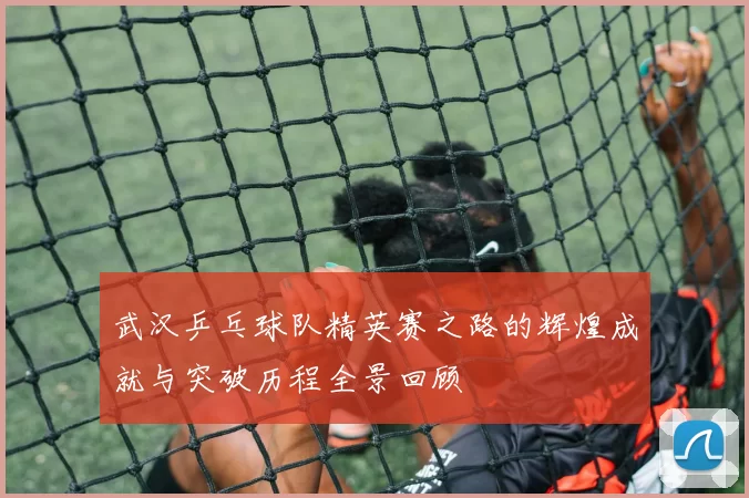 武汉乒乓球队精英赛之路的辉煌成就与突破历程全景回顾