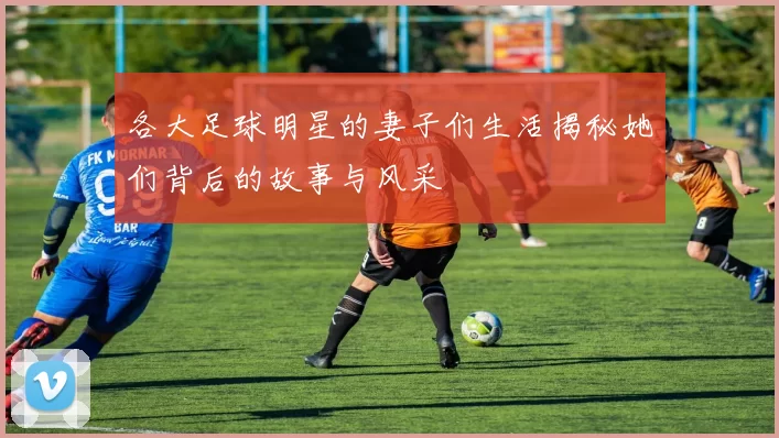 各大足球明星的妻子们生活揭秘她们背后的故事与风采