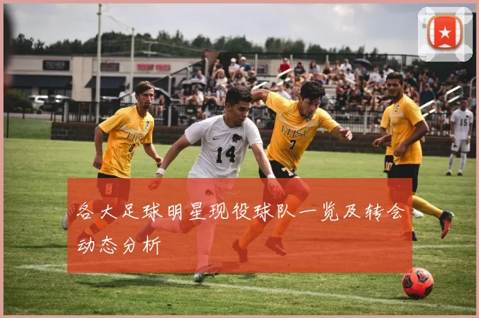 各大足球明星现役球队一览及转会动态分析